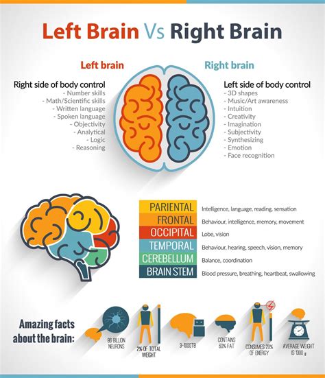 left and right brain exercises pdf
