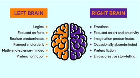 left brained or right brain test