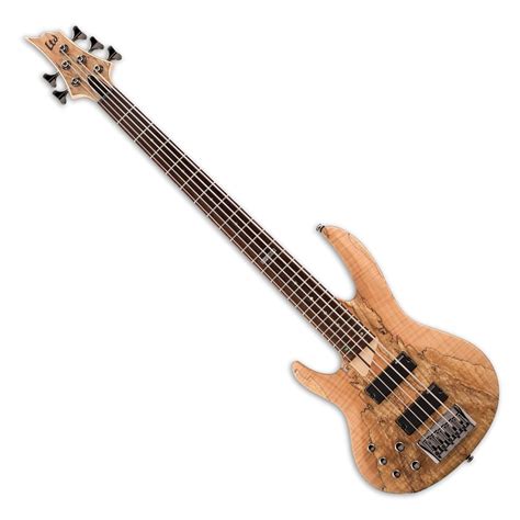 left handed 5 string bass