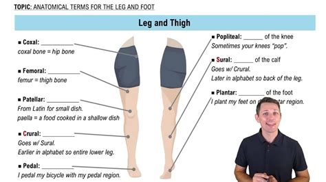 Leg And Feet Difference