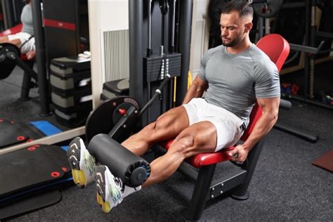 Leg Exercises Quad Extensions