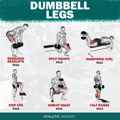 Leg Exercises With Dumbbells For Beginners