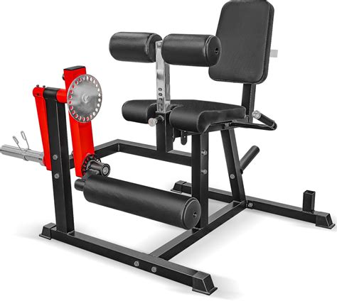 Leg Extension Machine Safe