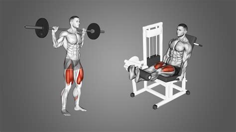 Leg Extension Vs Goblet Squat