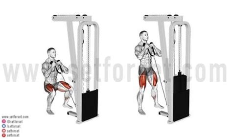 Leg Press Alternative Cable Machine