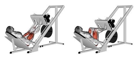 Leg Press Machine Differences
