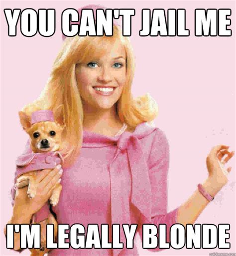 Legally Blonde Memes See Our Favorite Elle Woods Moments!
