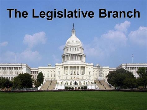 legislative branch examples in real life