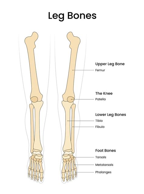Legs Not Supporting Body