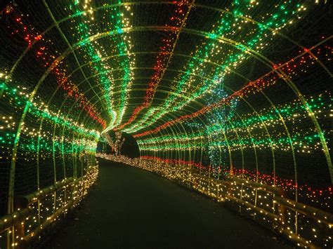Lehigh Valley Zoo Lights Promo Code
