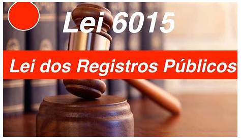 6015 73 Lei De Registros Públicos Lei Partilha