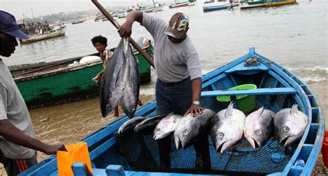 lei das pescas angola