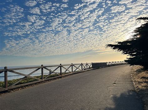 Lei Markmann Laboratory Group Research