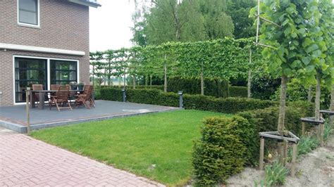 Leibomen Tegen Inkijk