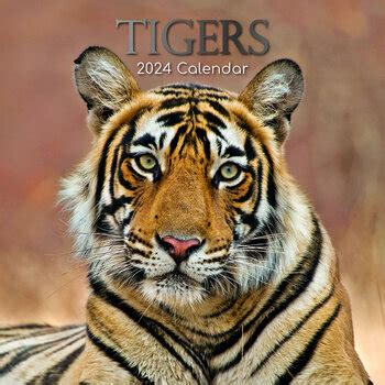 leicester tigers calendar 2024