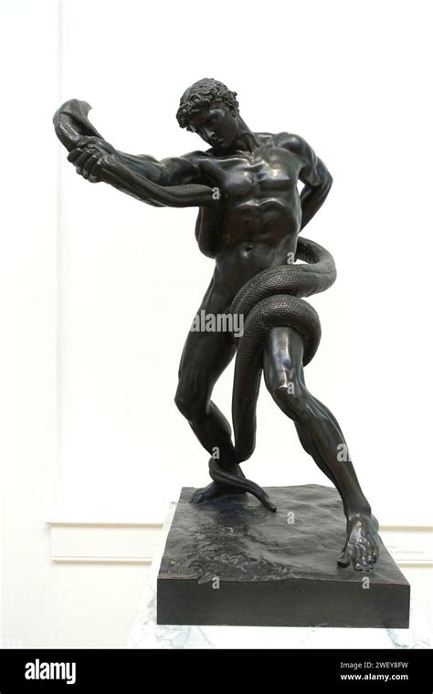 Leighton Athlete Wrestling With A Python