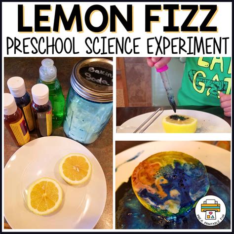 Lemon Experiment Preschool