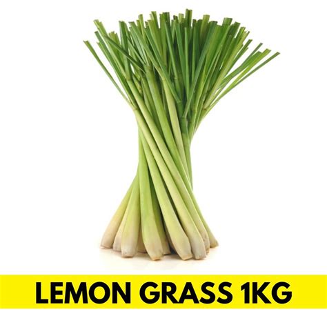 Lemon Grass Price