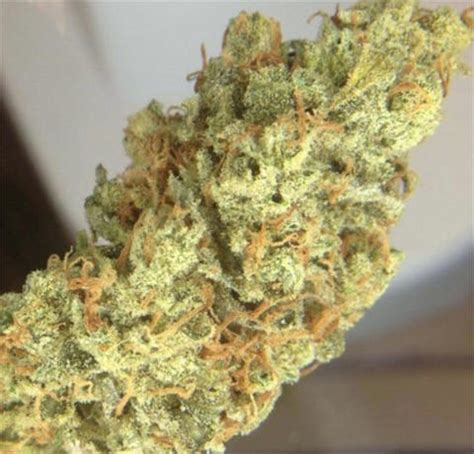 Lemon Og Haze Strain