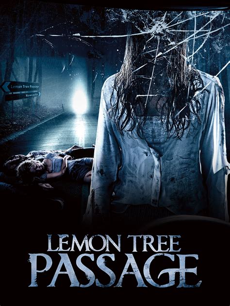 Lemon Tree Passage Gym