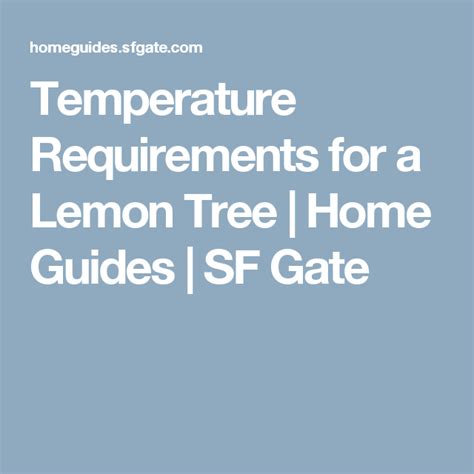 Lemon Tree Temperature Requirements