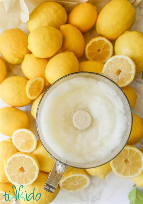 Lemonade In Food Processor