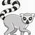 lemur draw