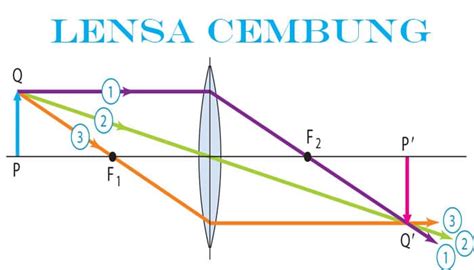 lensa cembung