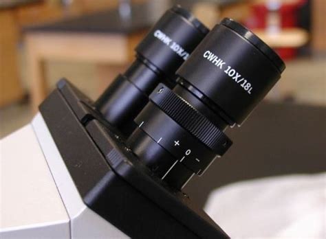 Lensa Okuler Mikroskop: Kelebihan, Kekurangan, dan Informasi Lengkap