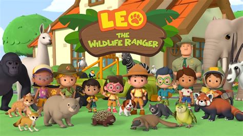 Shy Animals Videos Compilation Leo the Wildlife Ranger Animation