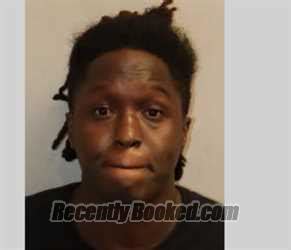 leon county recent arrest