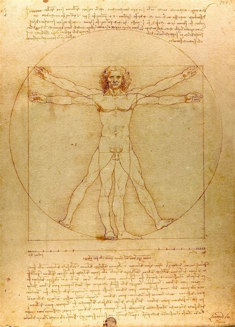 leonardo da vinci man drawing