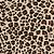 leopard print clip art