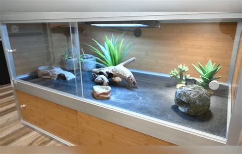 Leopard Gecko Tank Lighting
