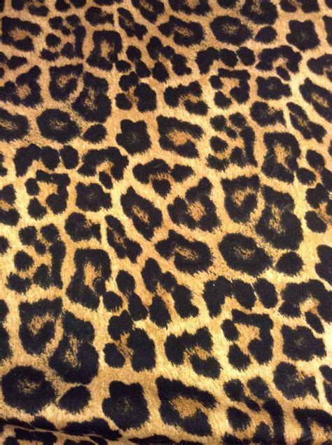Leopard Print Wallpaper Images