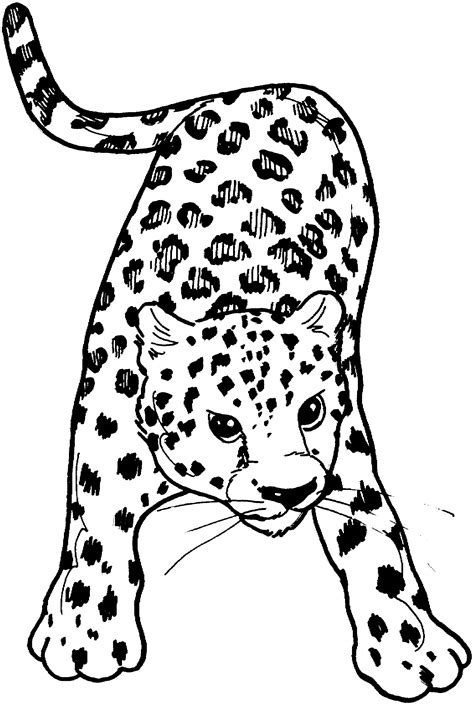 Disegno Leopardo AZ Colorare
