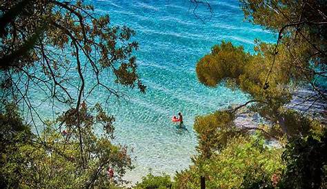 Les plages - Le Lavandou