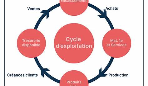 Le cycle de vie de l'entreprise - PME Consult