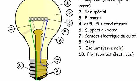 Les Differentes Parties Dune Ampoule Electrique ÉCLAIRAGE LED SUR MESURE Guides Et Conseils