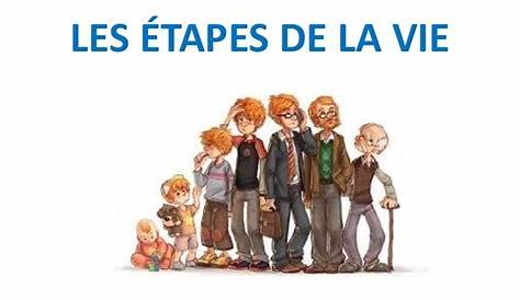 Diaporama les étapes de la vie | French vocabulary, Ap french, Language