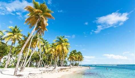 Top 5 des plages de Guadeloupe (et comment s'y rendre)