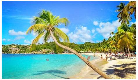 Séjour Guadeloupe, Le plus beau des îles - pour le bonheur des petits