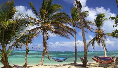 Plus belles plages de Martinique : notre Top 8 | Miss Wanderlust