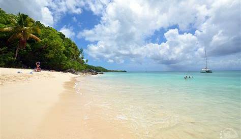 Les plus belles plages de Guadeloupe - Cindiaries