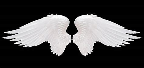 les ailes d'un ange