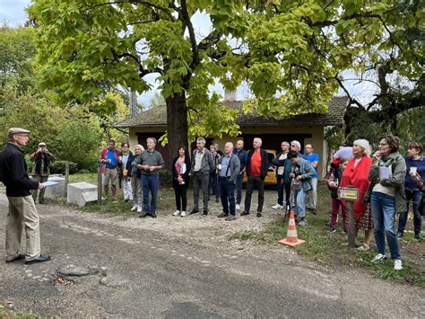 les amis des moulins de l'ain