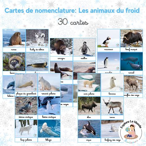 Les Animaux Du Froid