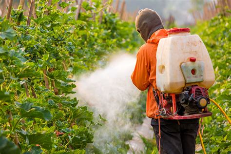 les pesticides dans l'agriculture