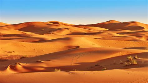les sables du sahara