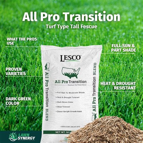 lesco grass seed